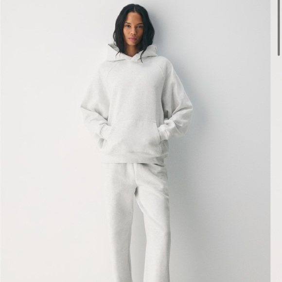 Aritzia Tops - NWT Aritzia Cozy Sweatfleece Mega Raglan Hoodie